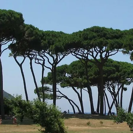 La Rocca